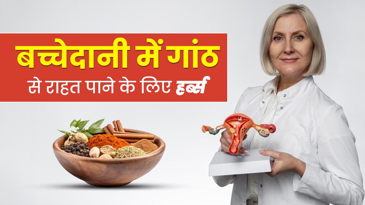 बच्चेदानी में गांठ है तो इन 3 जड़ी-बूटियों का करें सेवन, मिलेगा फायदा